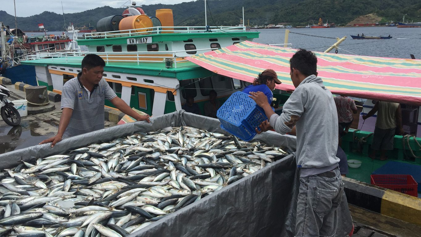 Biggest fishery center