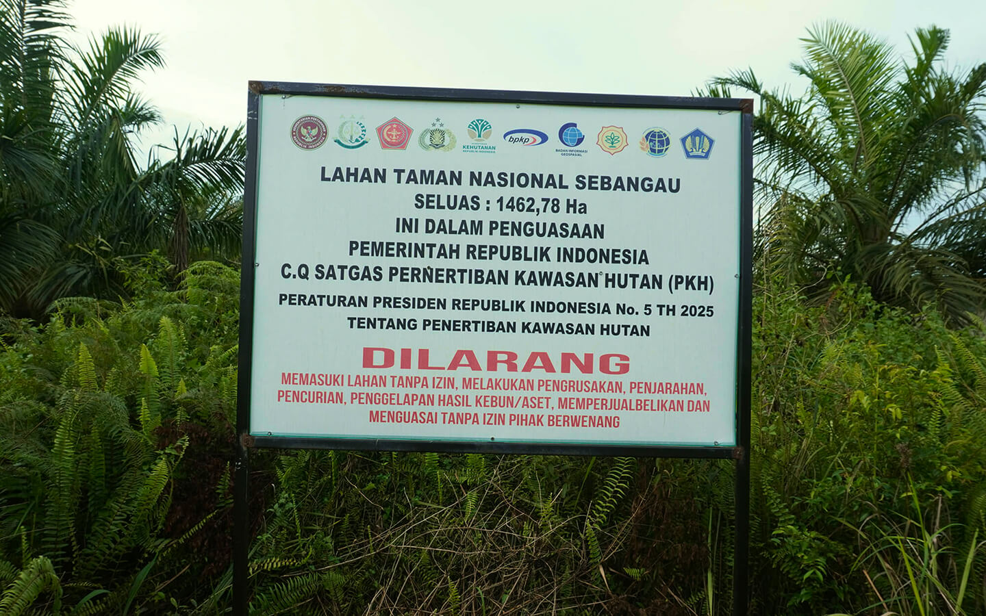A warning sign from the Forest Enforcement Task Force (Satgas PKH)