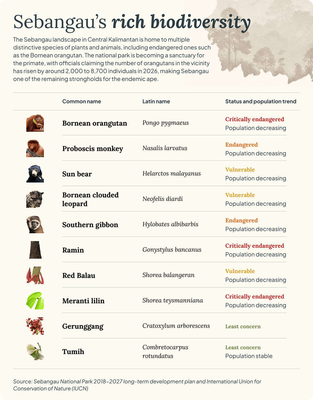 Sebangau's rich biodiversity desktop