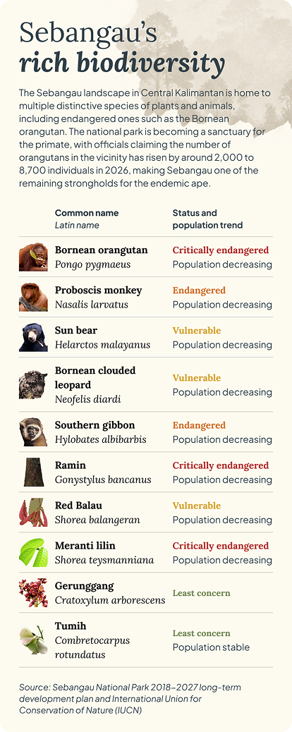 Sebangau's rich biodiversity mobile
