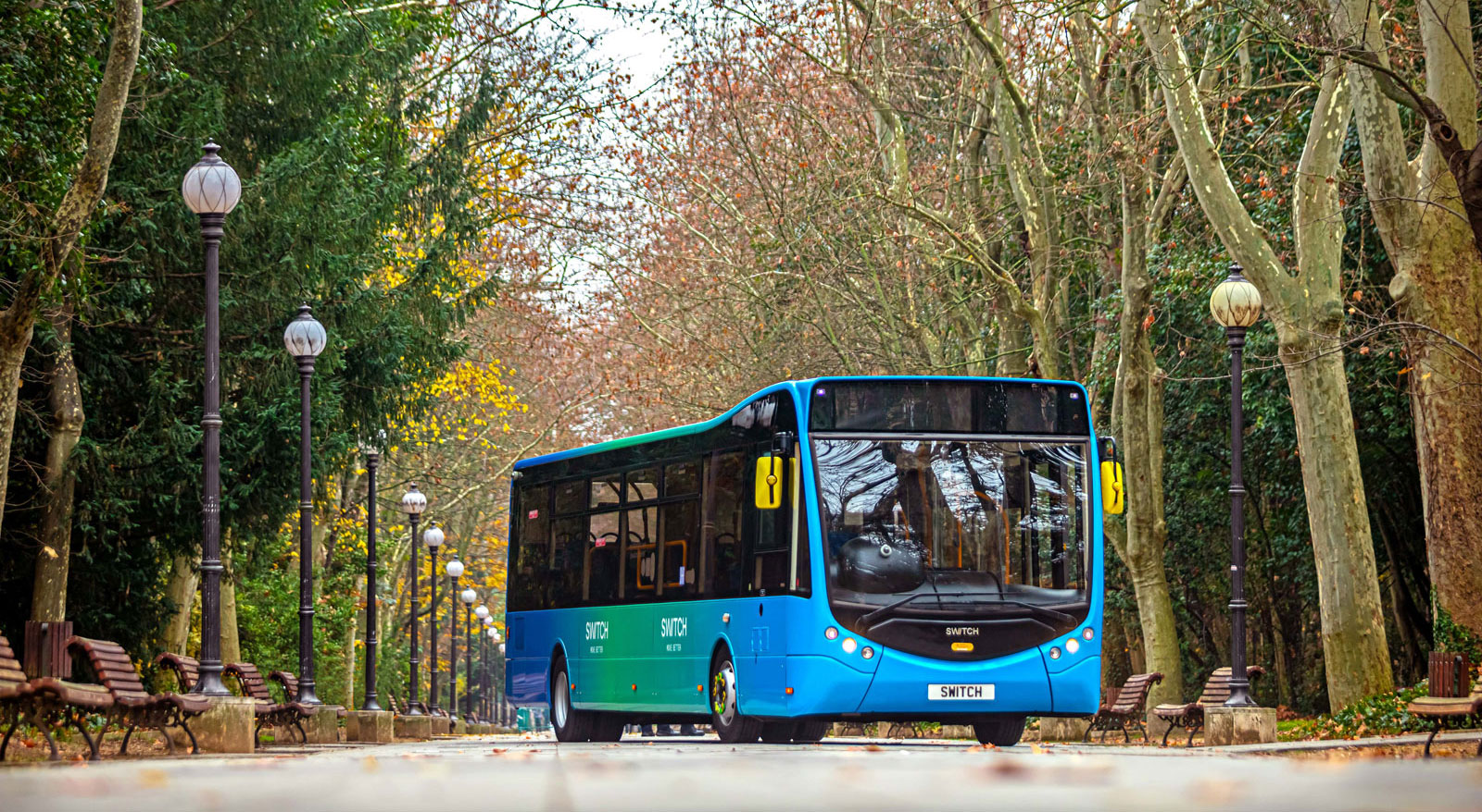Bus