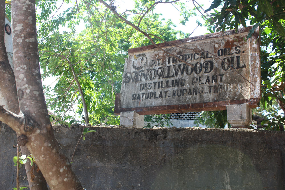 Sign-from-the-past