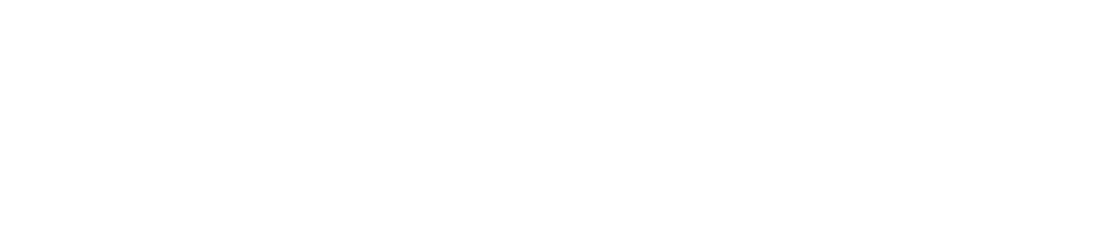 TRF EV - The Jakarta Post Logo
