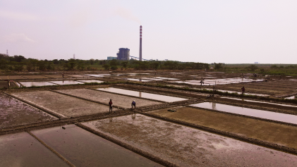 TRF Cirebon - Salt Pond